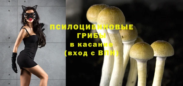MESCALINE Алзамай