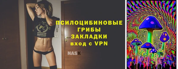 молекула духа Алексин