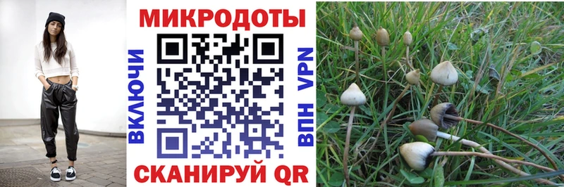 Псилоцибиновые грибы ЛСД Жигулёвск